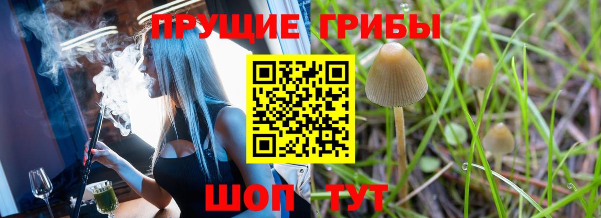 Псилоцибиновые грибы прущие грибы  Вход с VPN  Аша 